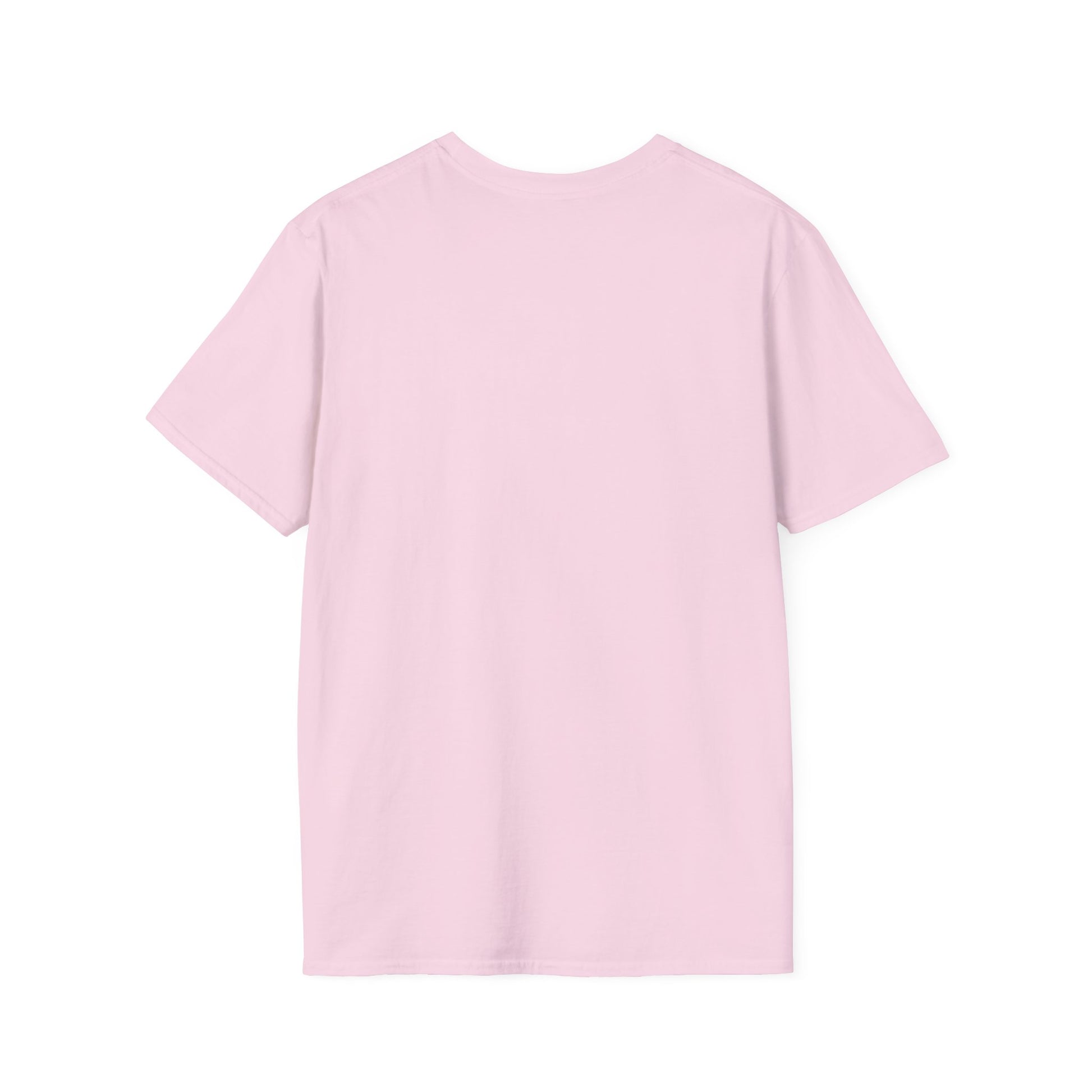 Holy Mary T-Shirt | Unisex Softstyle - Biblical Prints