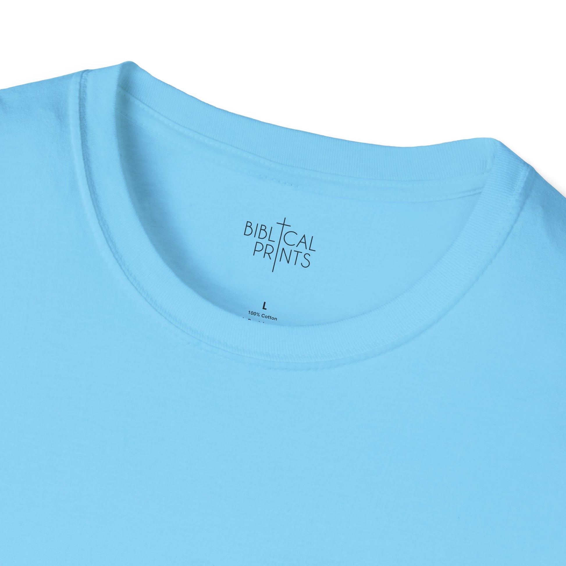 Holy Mary T-Shirt | Unisex Softstyle - Biblical Prints