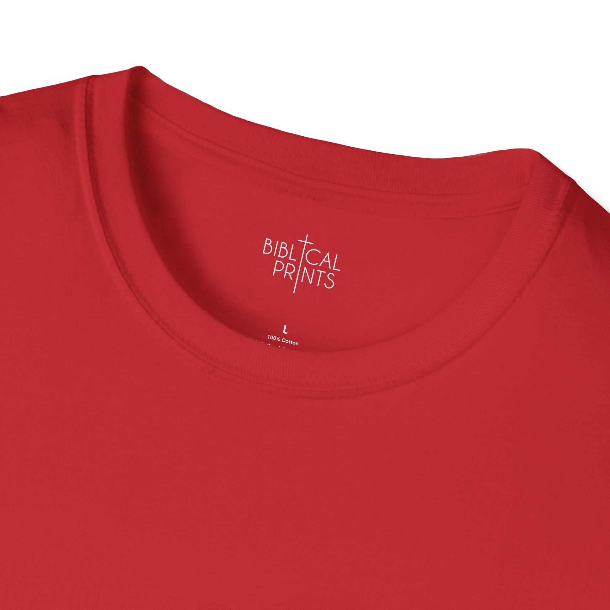 Holy Mary T-Shirt | Unisex Softstyle - Biblical Prints