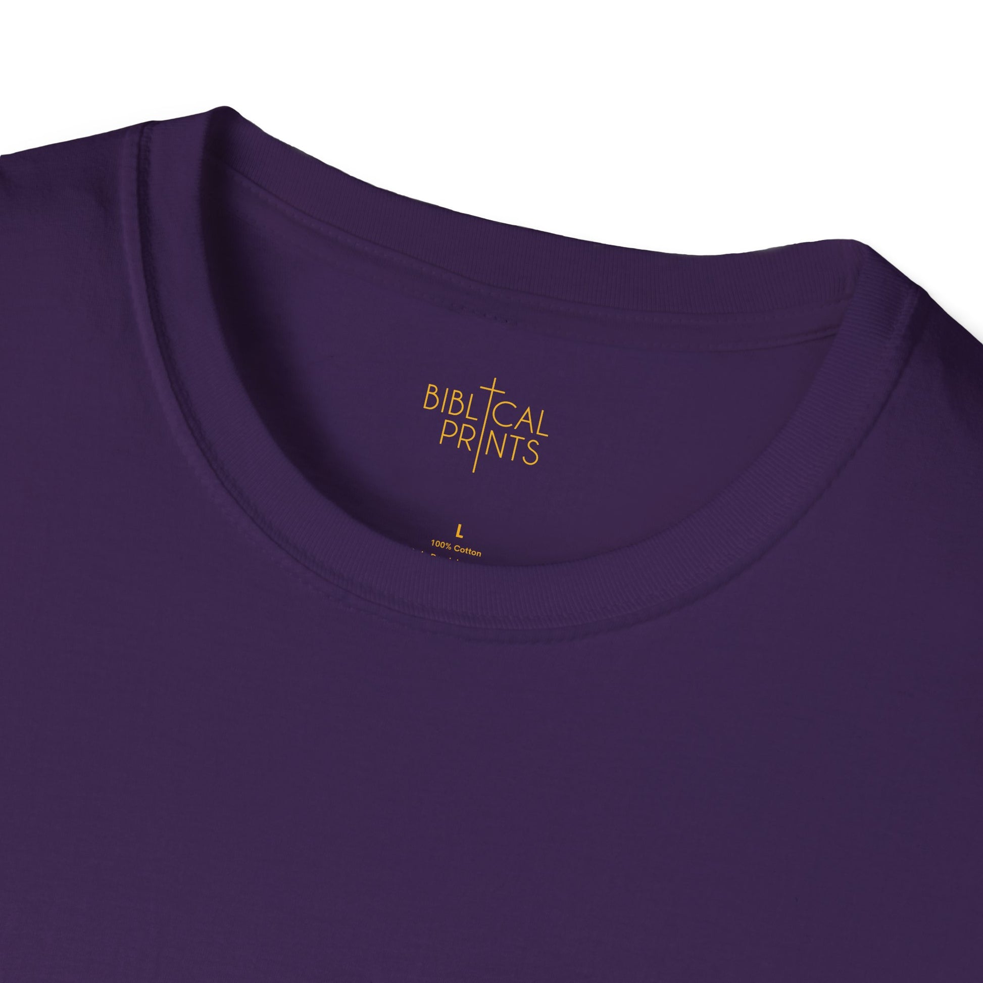 Holy Mary T-Shirt | Unisex Softstyle - Biblical Prints