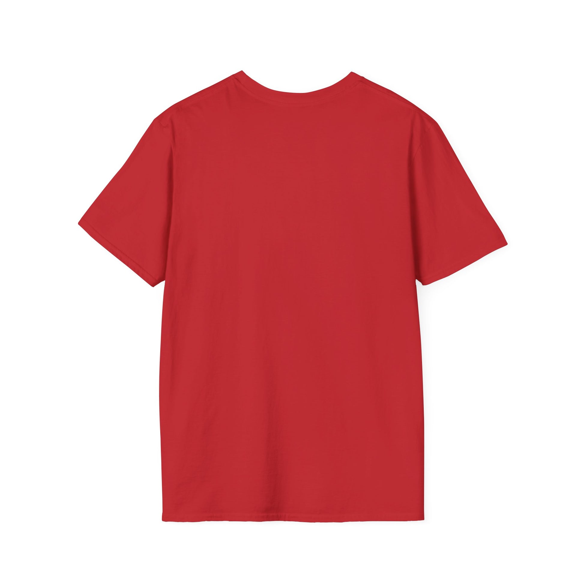 Holy Mary T-Shirt | Unisex Softstyle - Biblical Prints